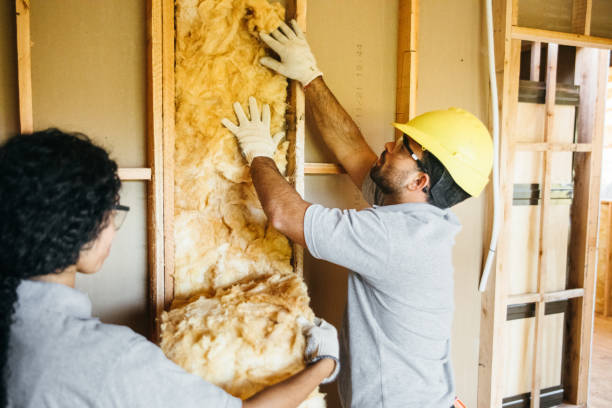 Types of Insulation We Offer in Moonachie, NJ